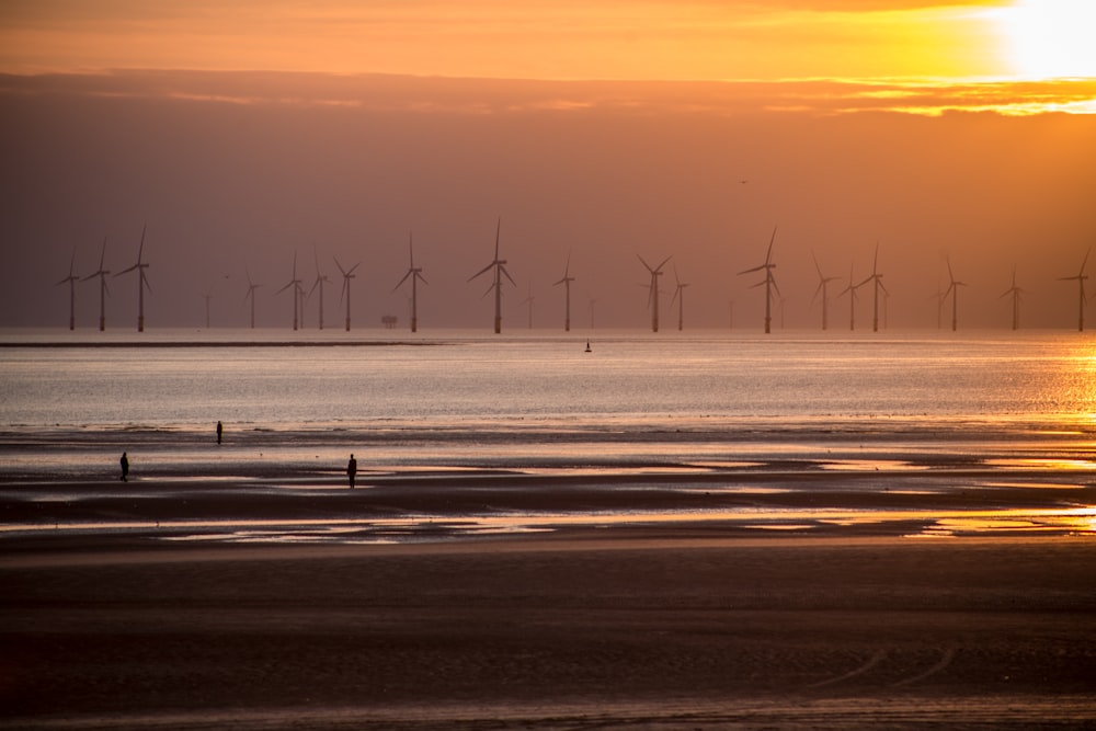 wind turbines on the field during sunset