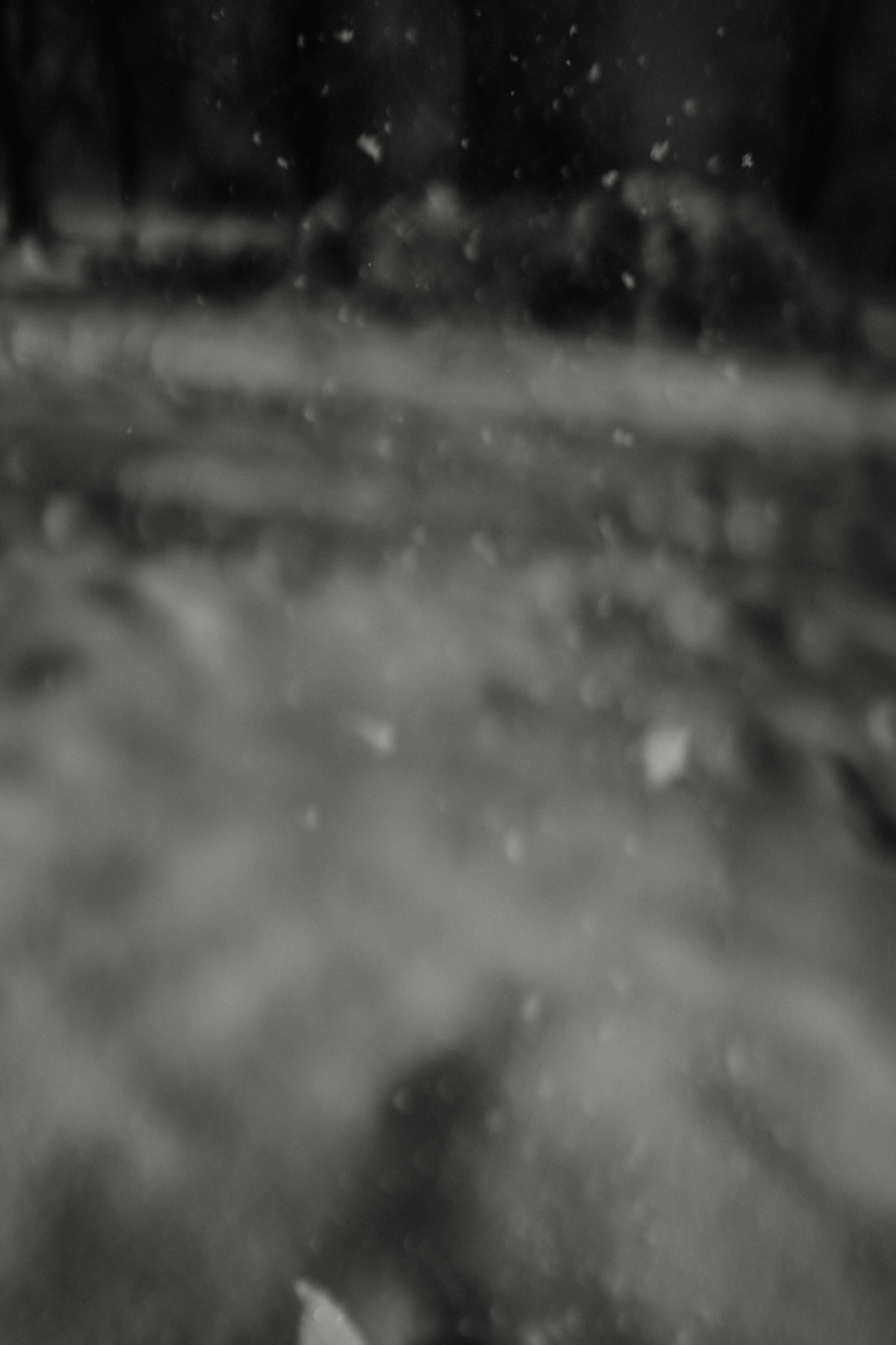 Photo by luiseandnic