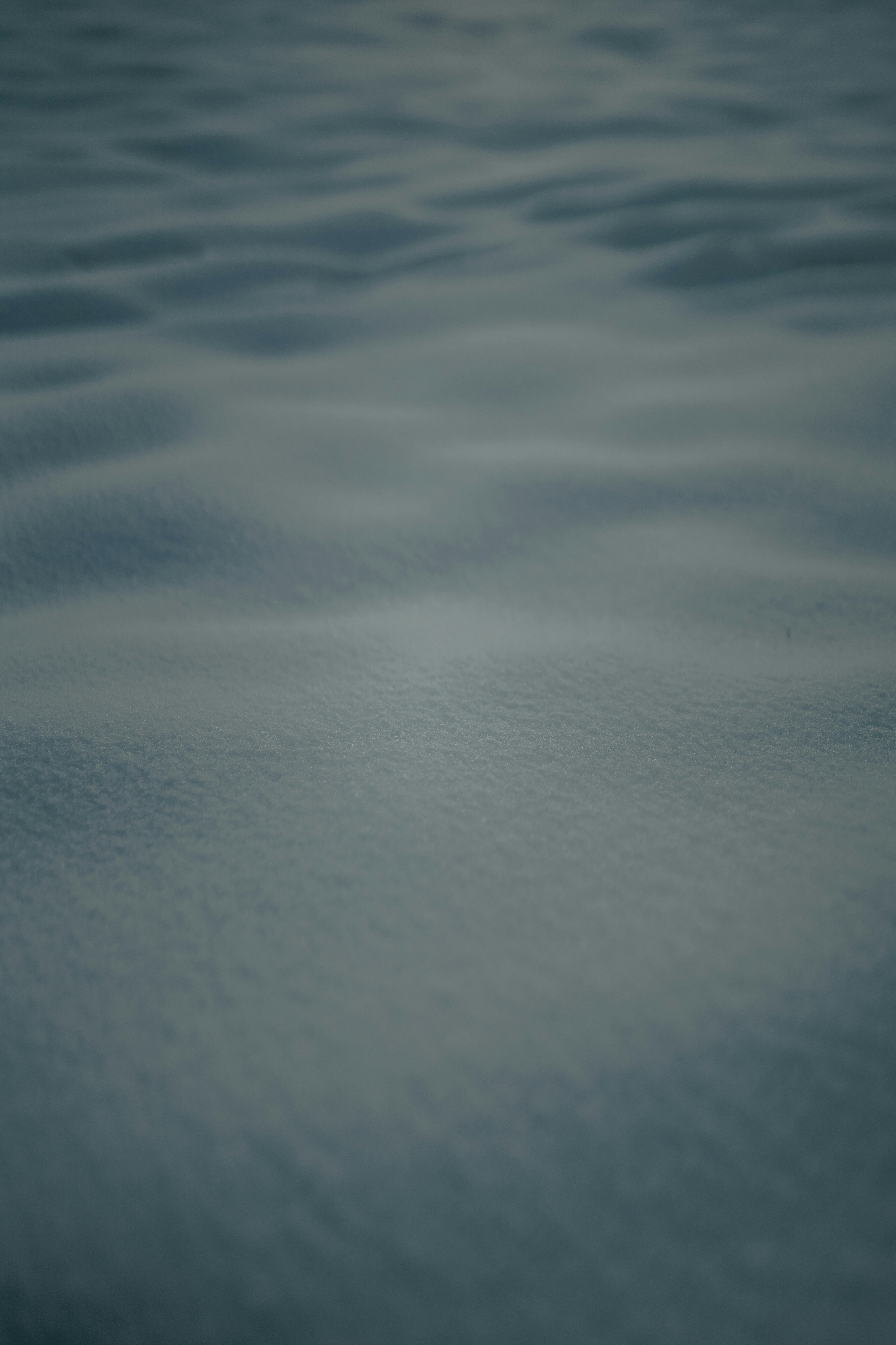 Photo by luiseandnic