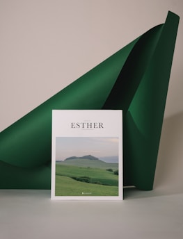 A book with a cover featuring a serene landscape scene of green rolling hills under a cloudy sky is positioned against a large sheet of dark green paper. The book is titled 'Esther' and stands upright, slightly forward on a neutral-toned floor.
