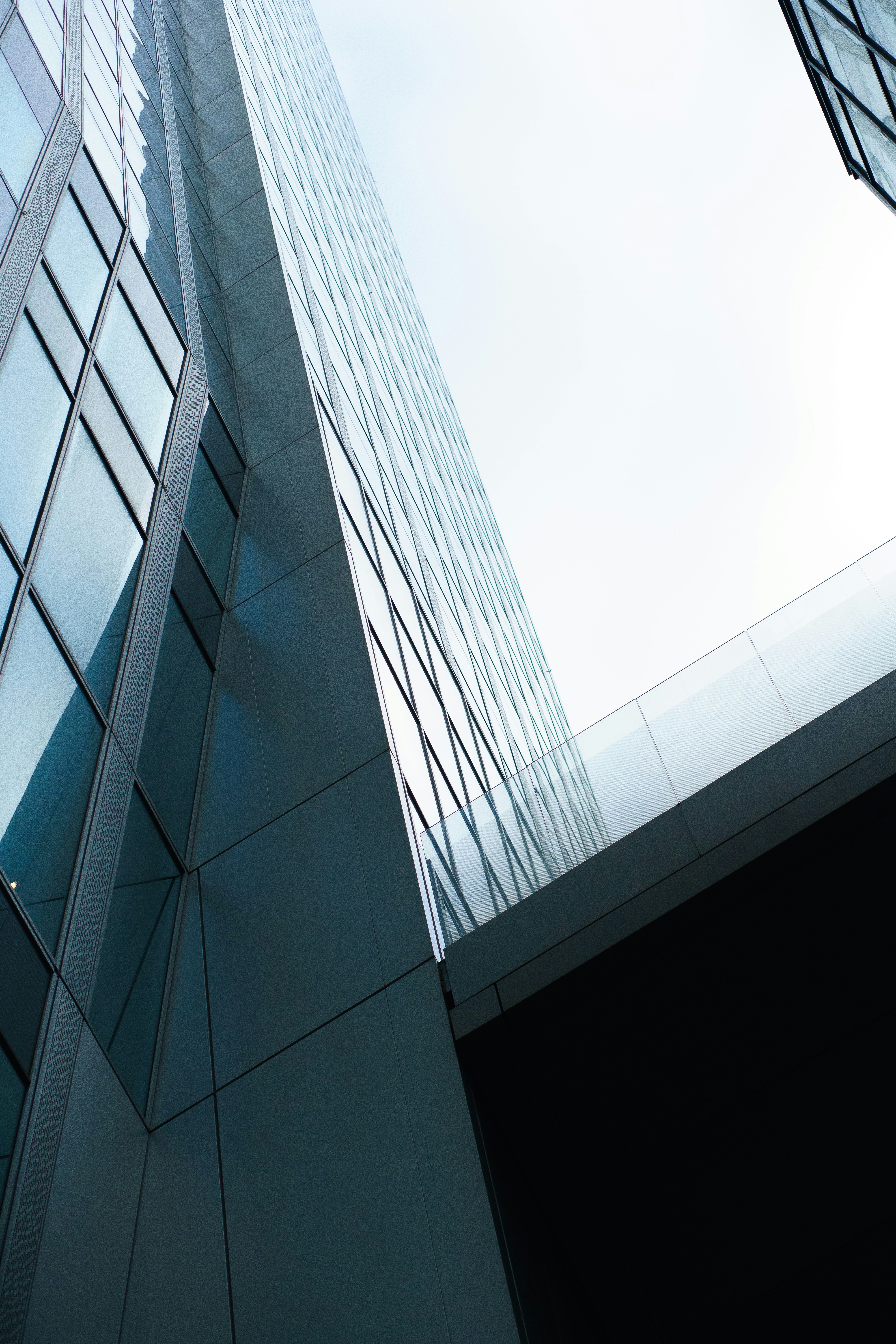 Photo by sirisvisual