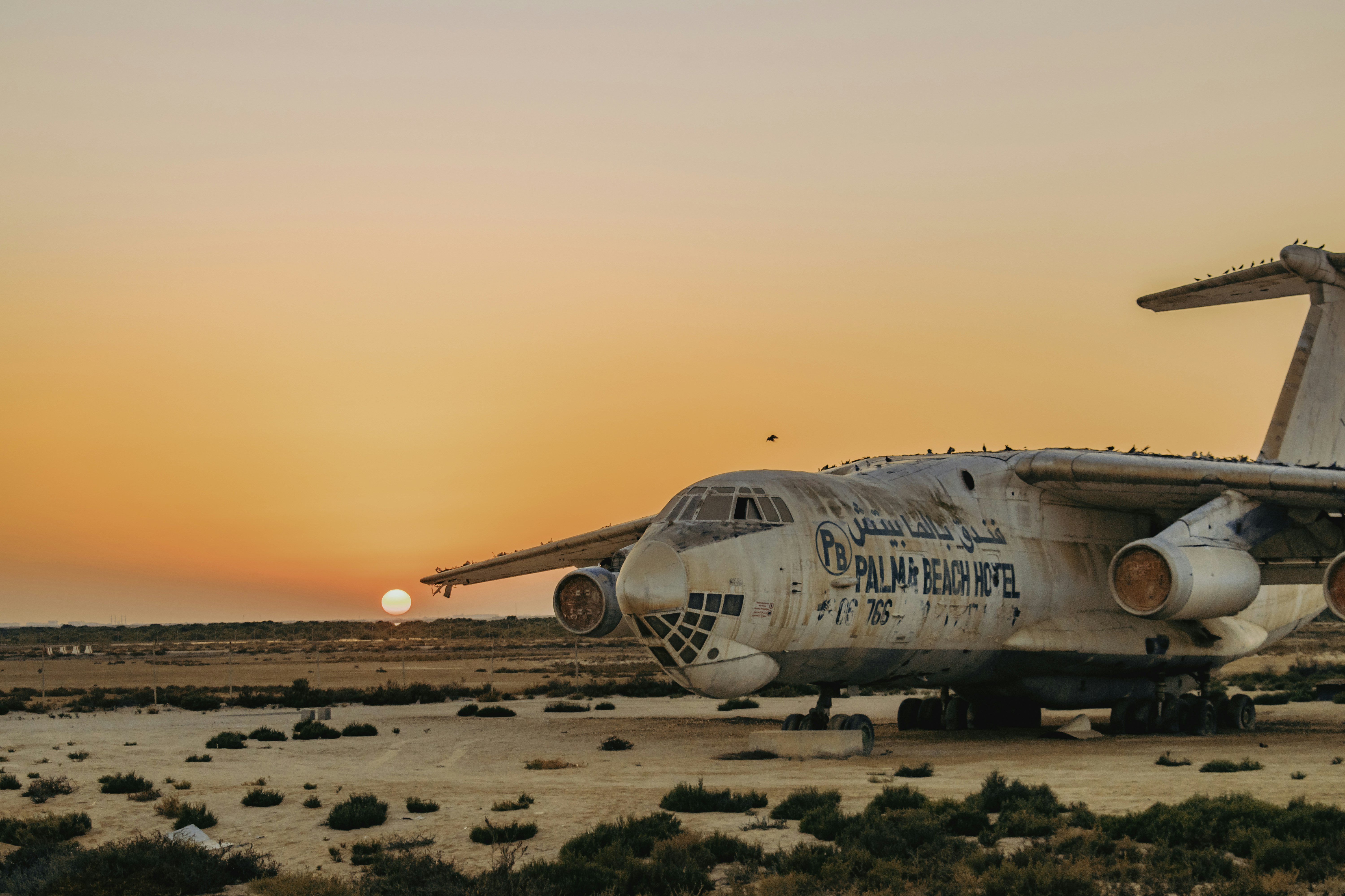 white passenger plane on brown field during sunset - Markup Camp