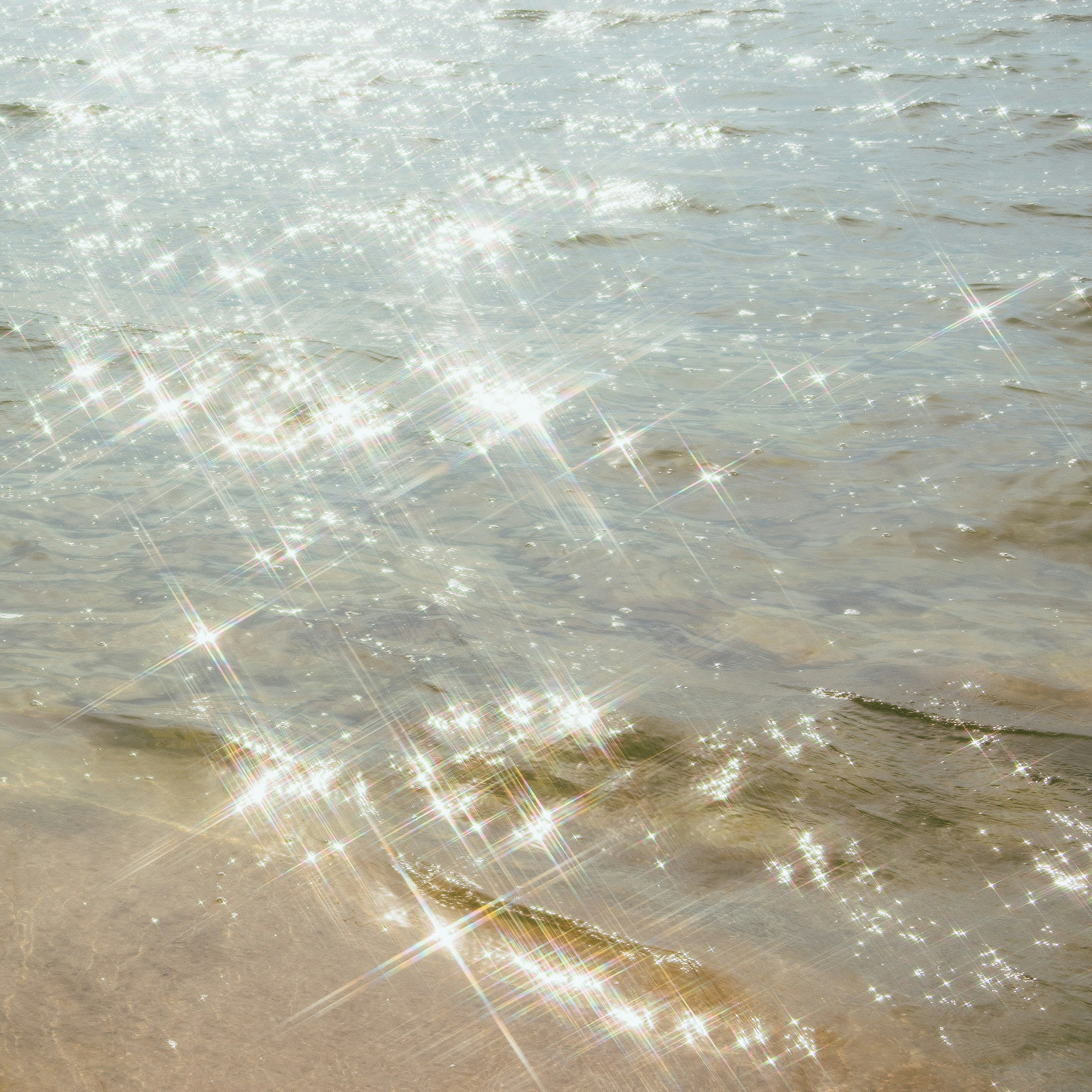 What Kind Of Water Filter Should I Buy?