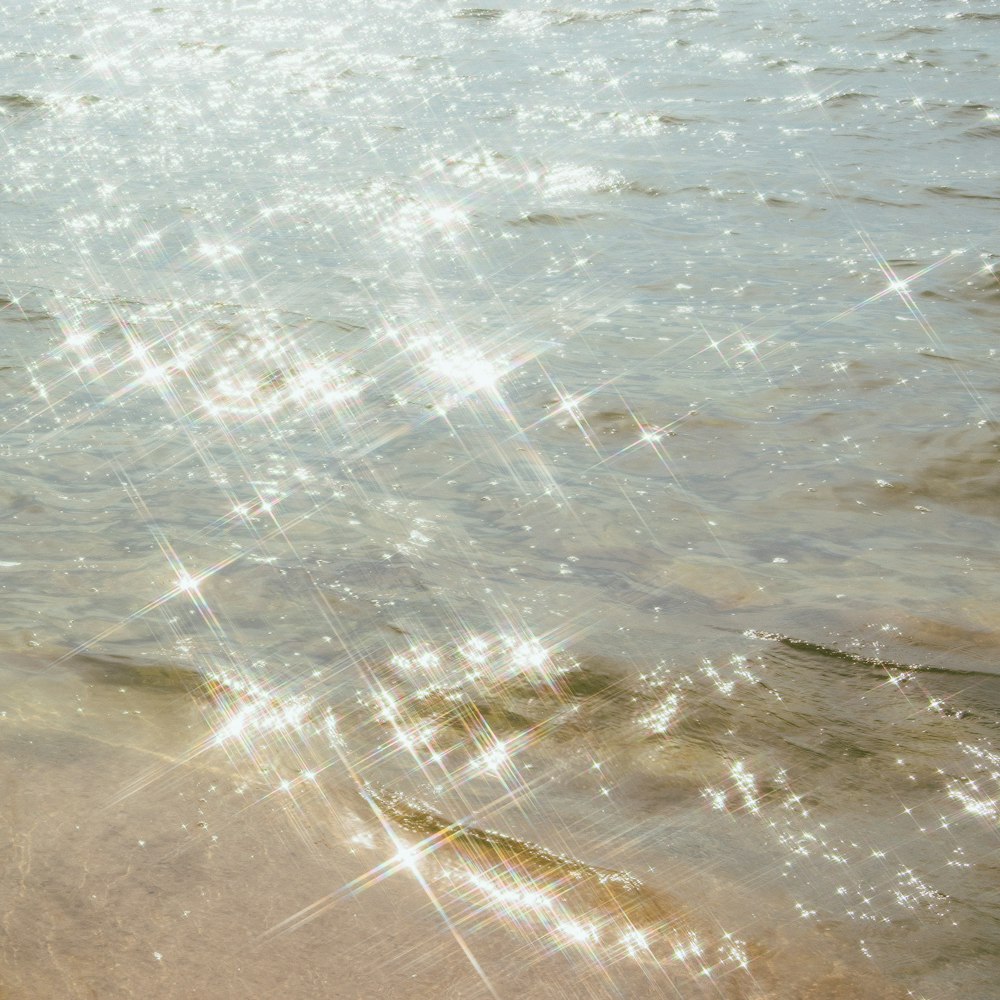 olas de agua en la orilla