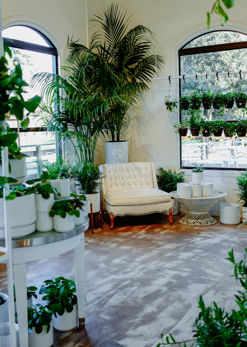 Modern living room decorated with various large-scale indoor trees