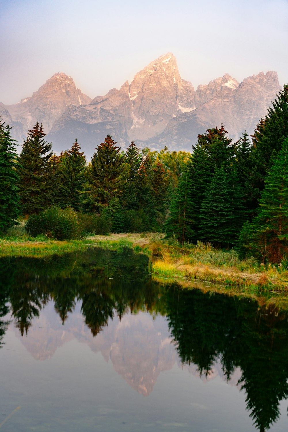 Grüne Kiefern in der Nähe von See und Bergkette