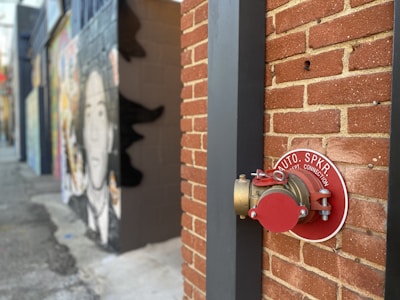 A brick wall with a red and metallic fire department connection labeled 'AUTO. SPKR. FIRE DEPT. CONNECTION' is prominently featured. The wall is adorned with colorful urban graffiti. Beside the brick wall, there is an alleyway with additional murals and street art.