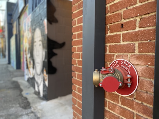 A brick wall with a red and metallic fire department connection labeled 'AUTO. SPKR. FIRE DEPT. CONNECTION' is prominently featured. The wall is adorned with colorful urban graffiti. Beside the brick wall, there is an alleyway with additional murals and street art.