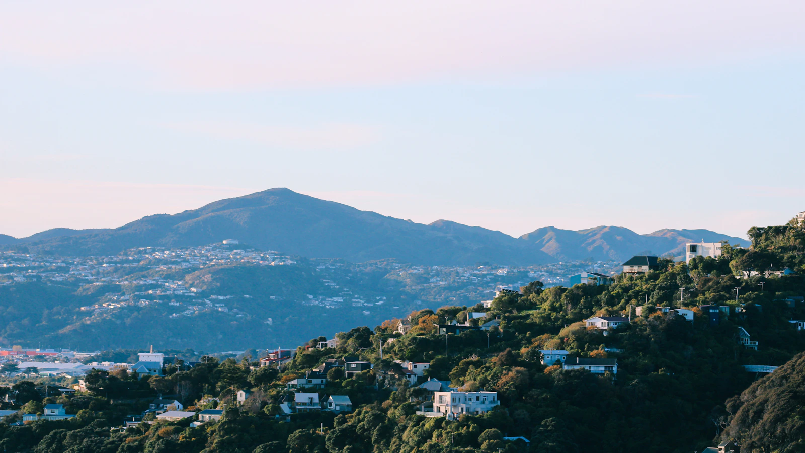 Photo · Adana Hulett / Unsplash