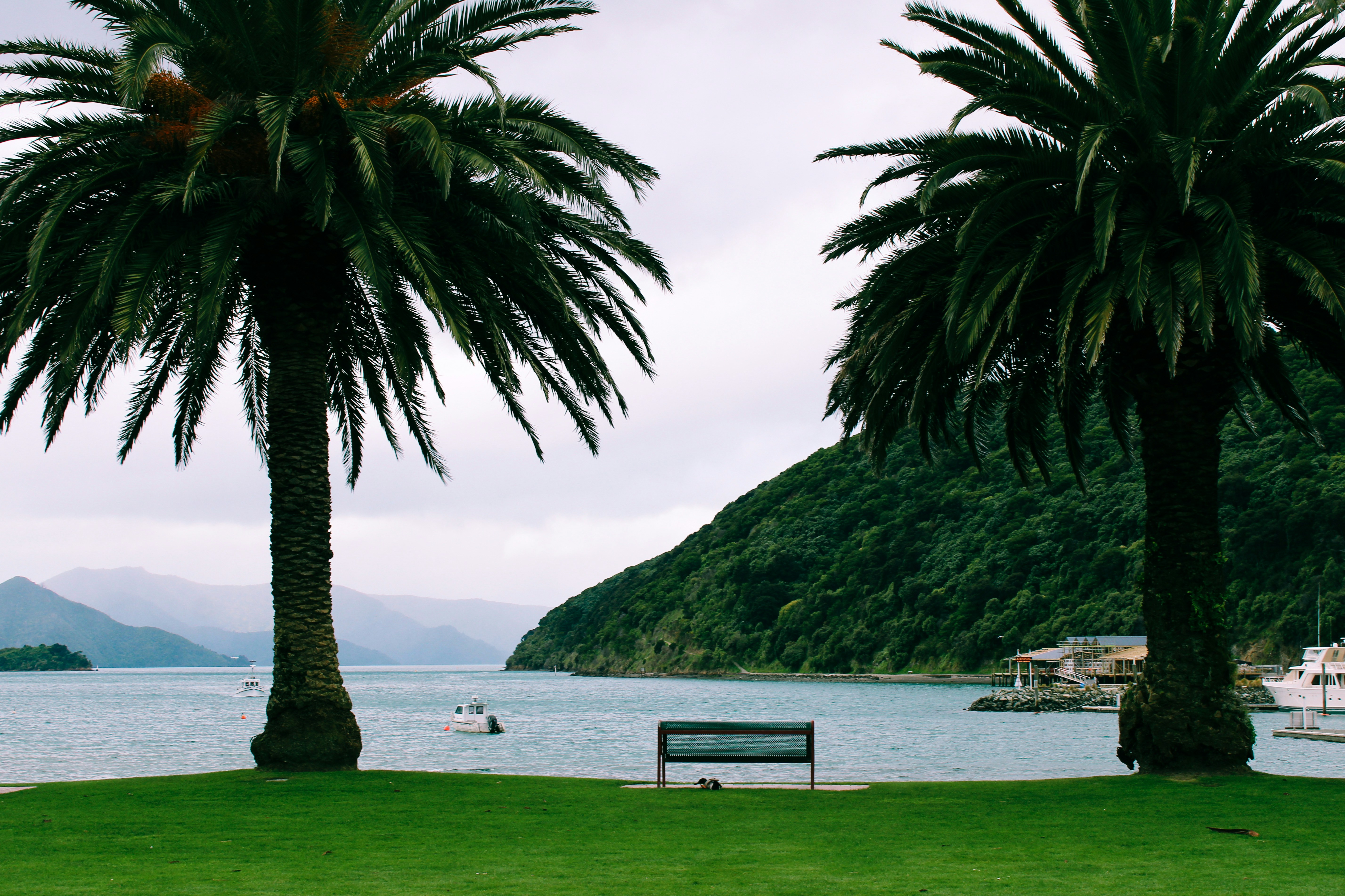 picton, new zealand image