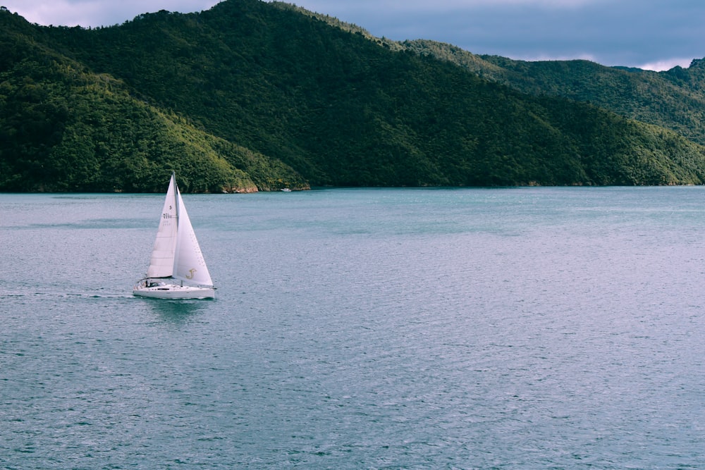 white sailboat on sea near green mountain during daytime