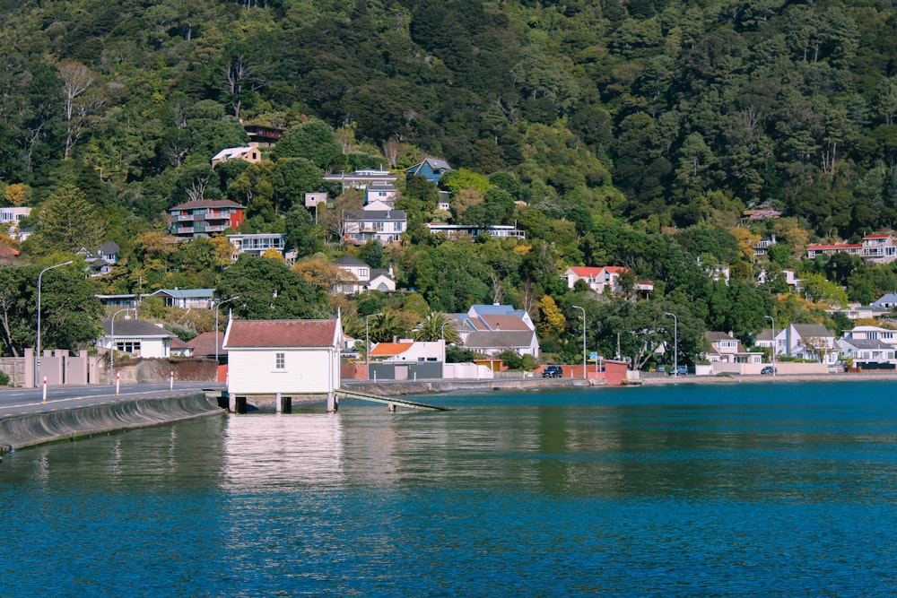 white and brown concrete houses near body of water during daytime