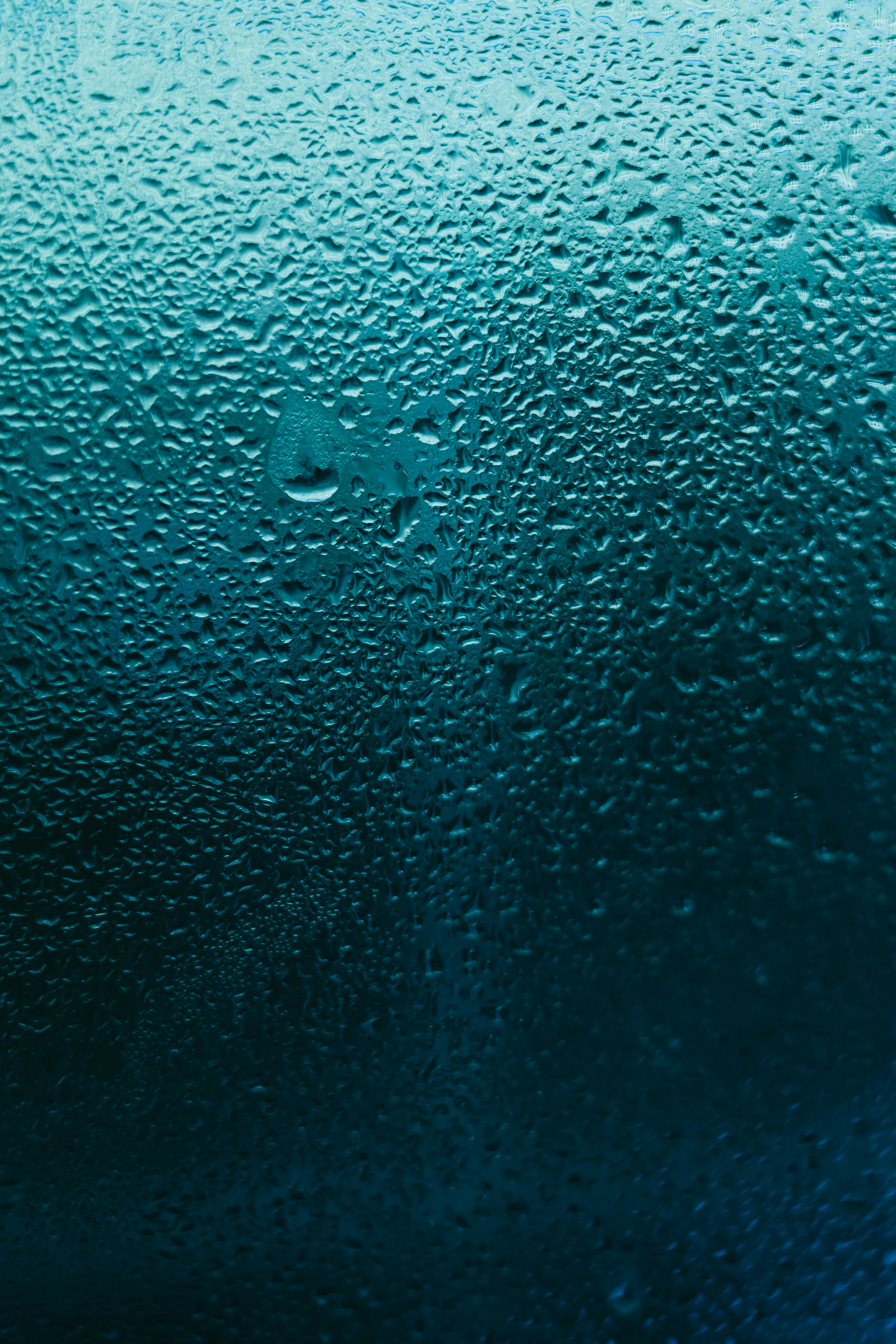 Photo by dhilipantony