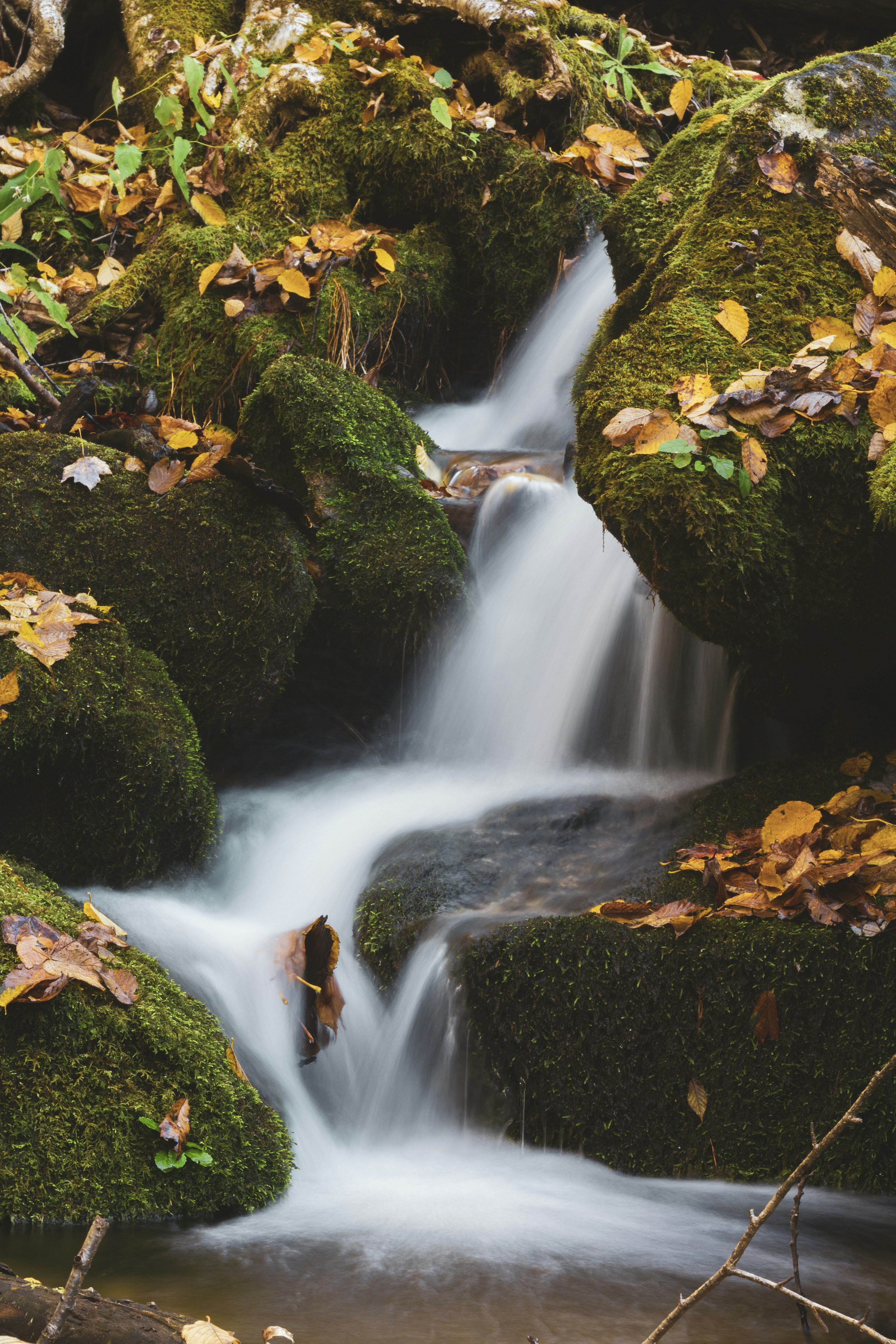 Photo by jameskrudop