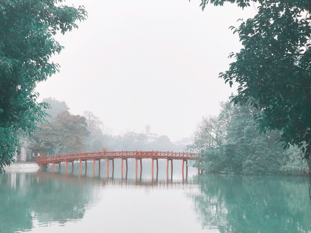 red bridge over river surrounded by trees