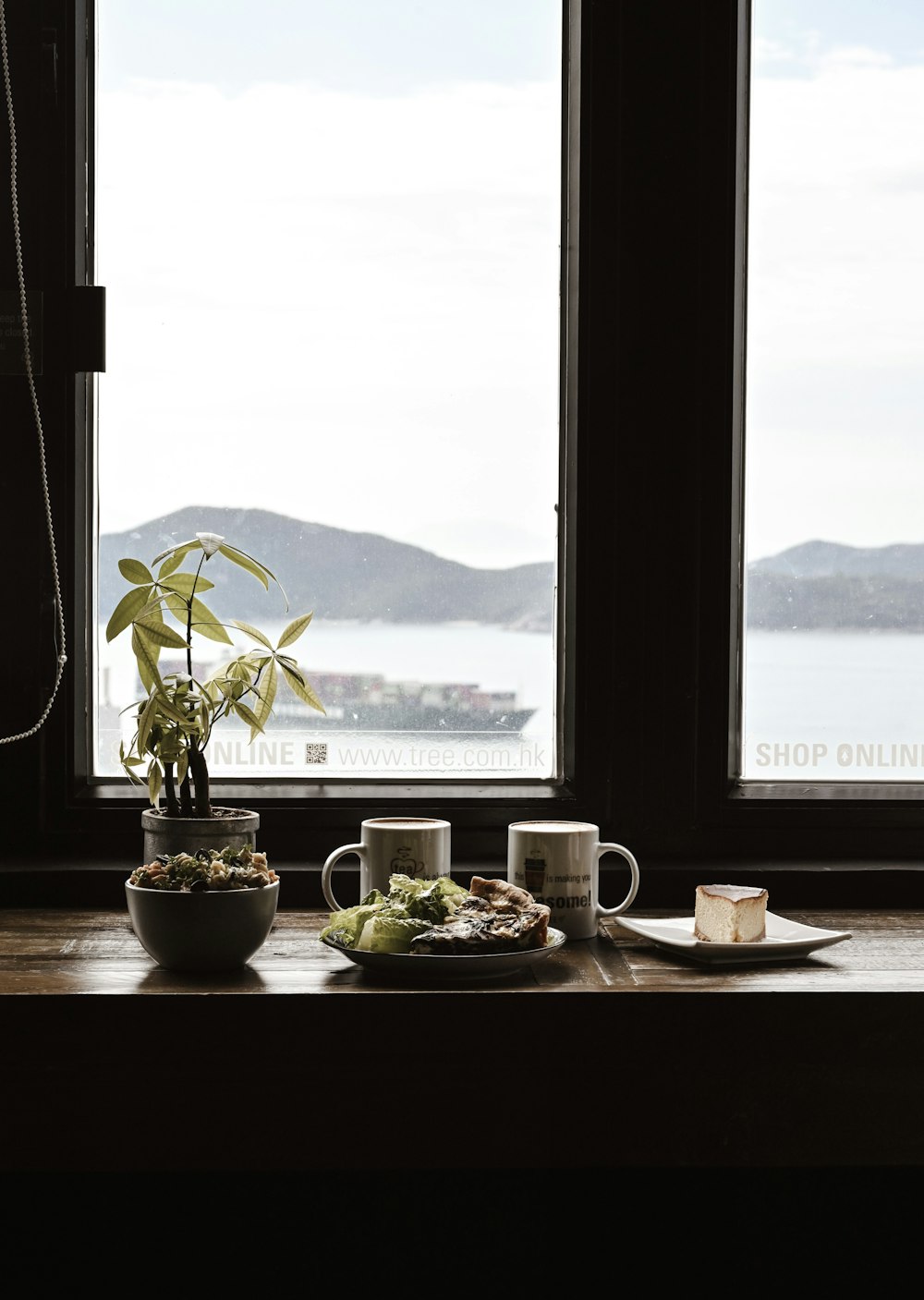 potted green plant on window