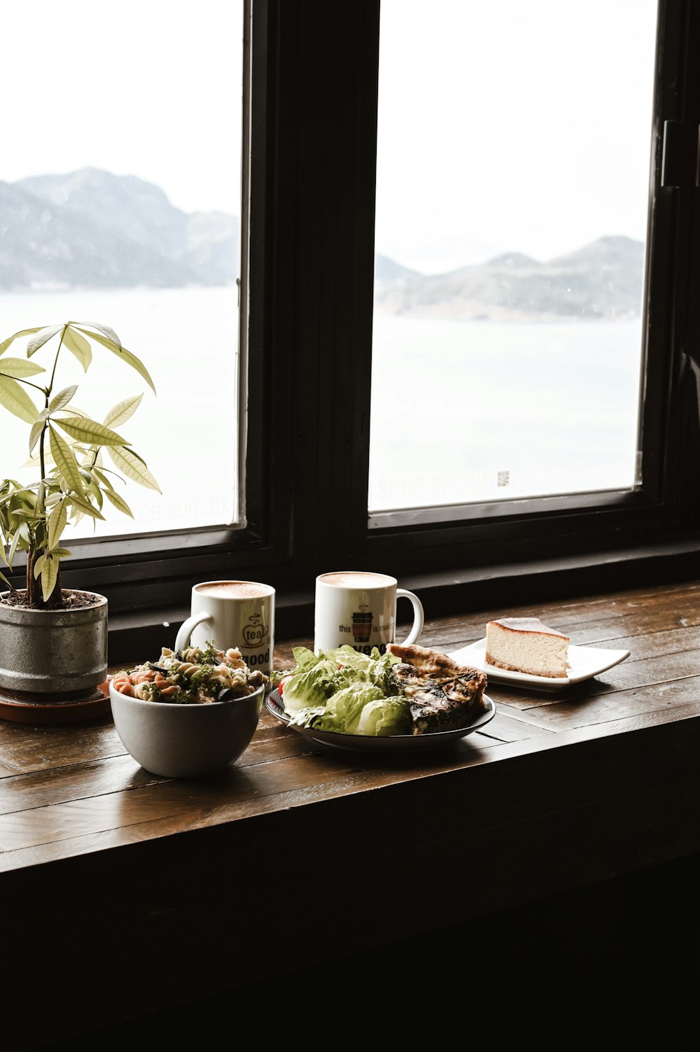 planta verde em vaso na mesa de madeira marrom