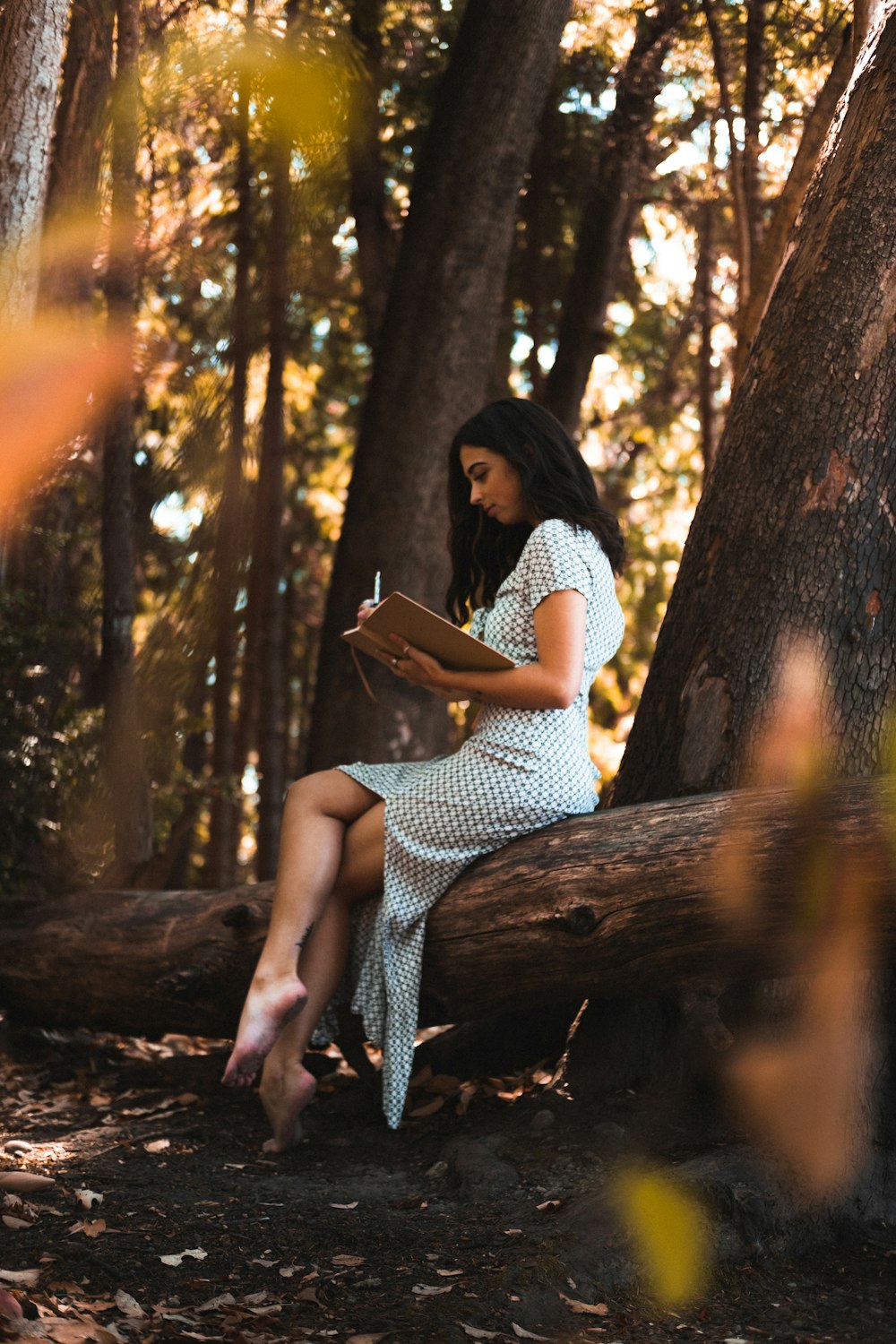 woman in white and black polka dot dress sitting on tree branch