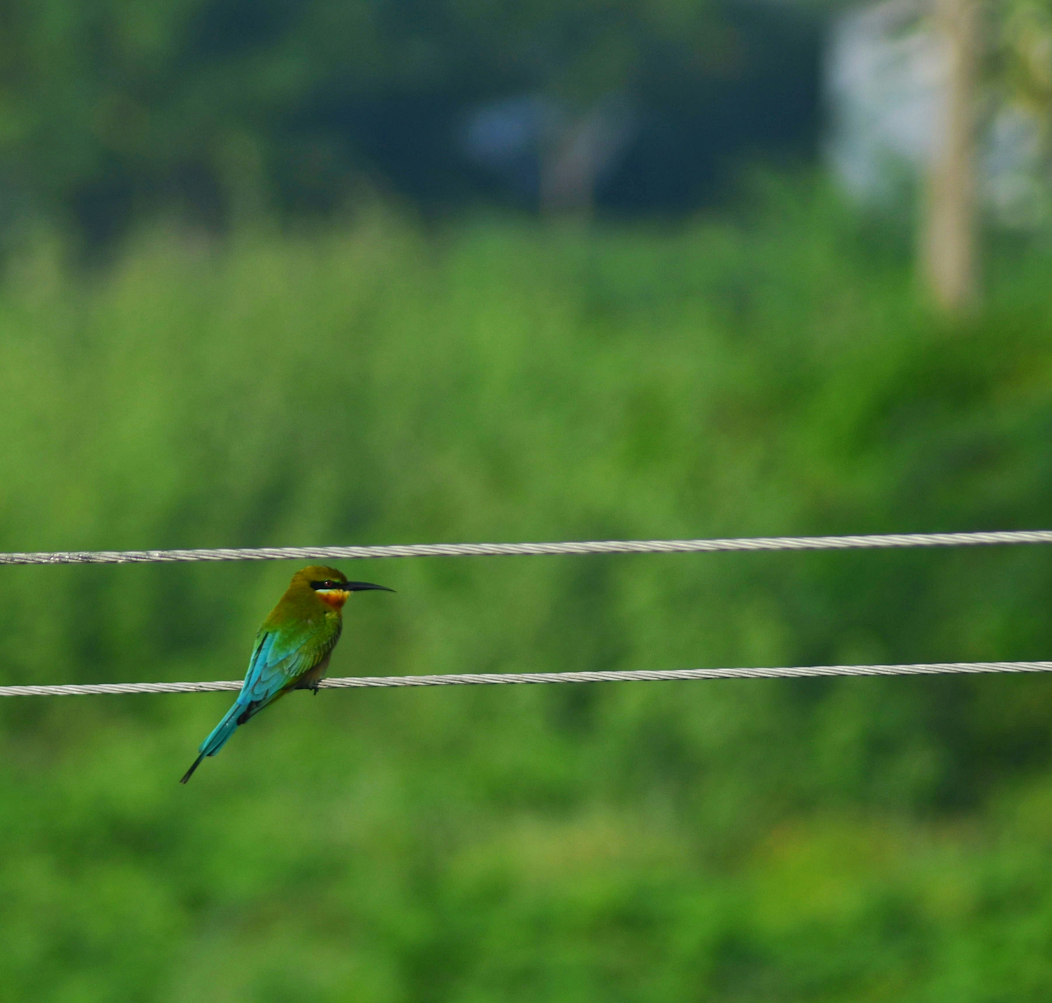 Photo by aruljames14