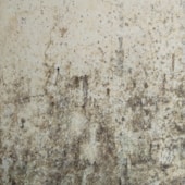 white and brown concrete floor