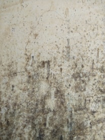 white and brown concrete floor