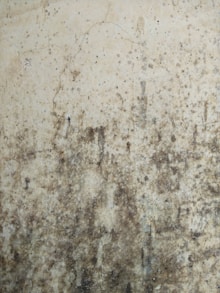 white and brown concrete floor