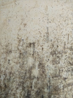 white and brown concrete floor