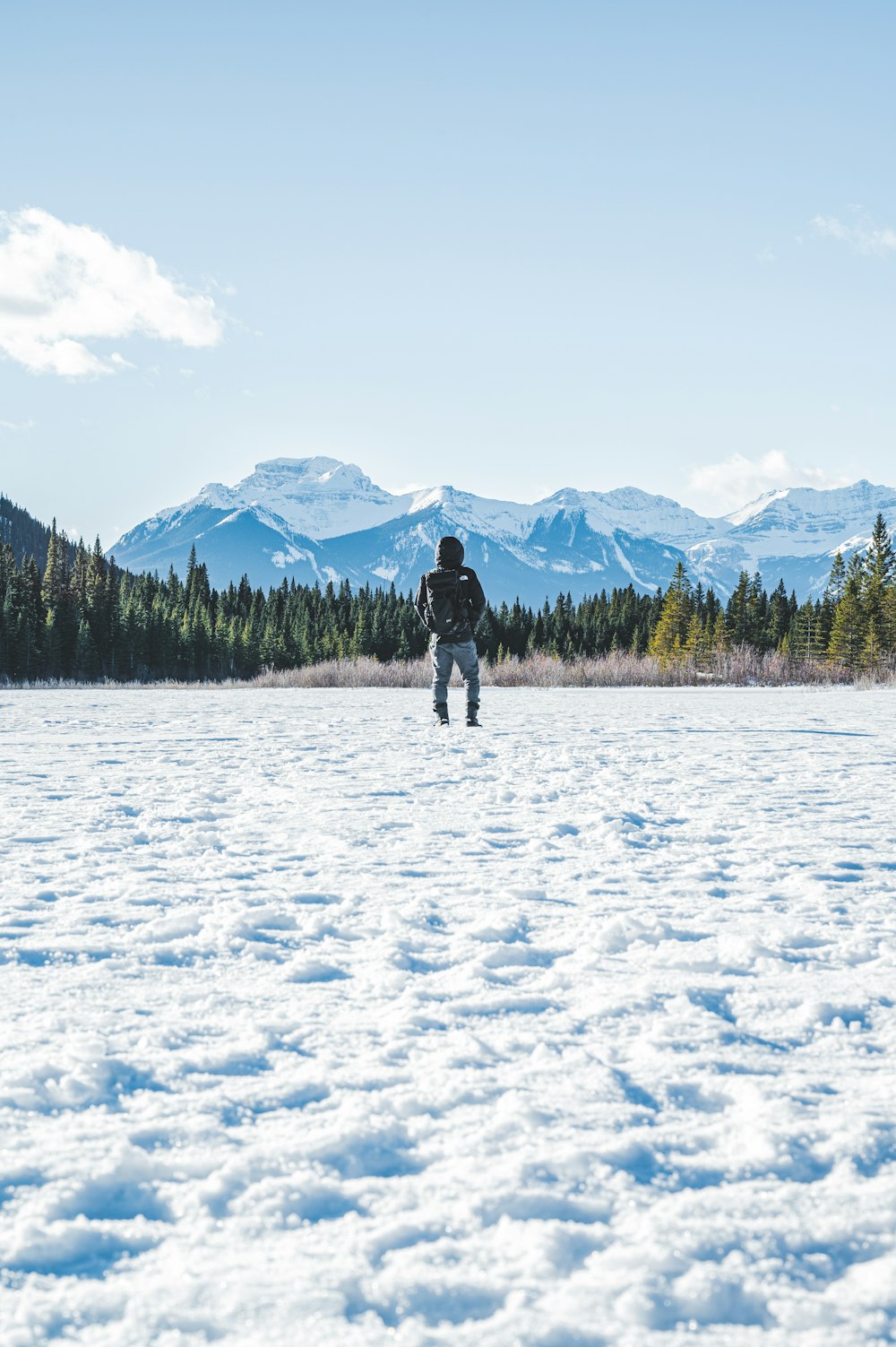 person in black jacket and black pants walking on snow covered ground during daytime