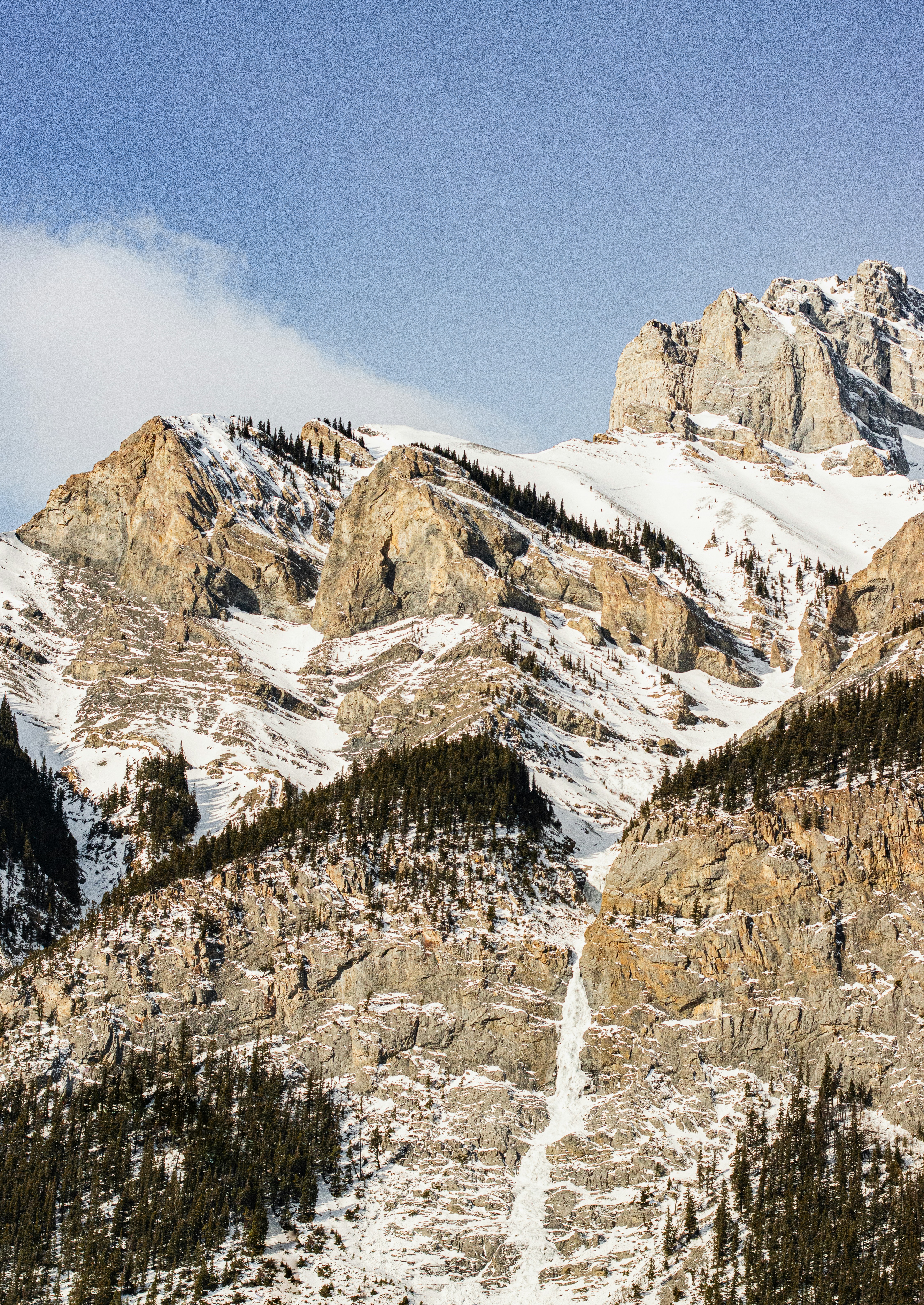 Photo by igor_and_teti