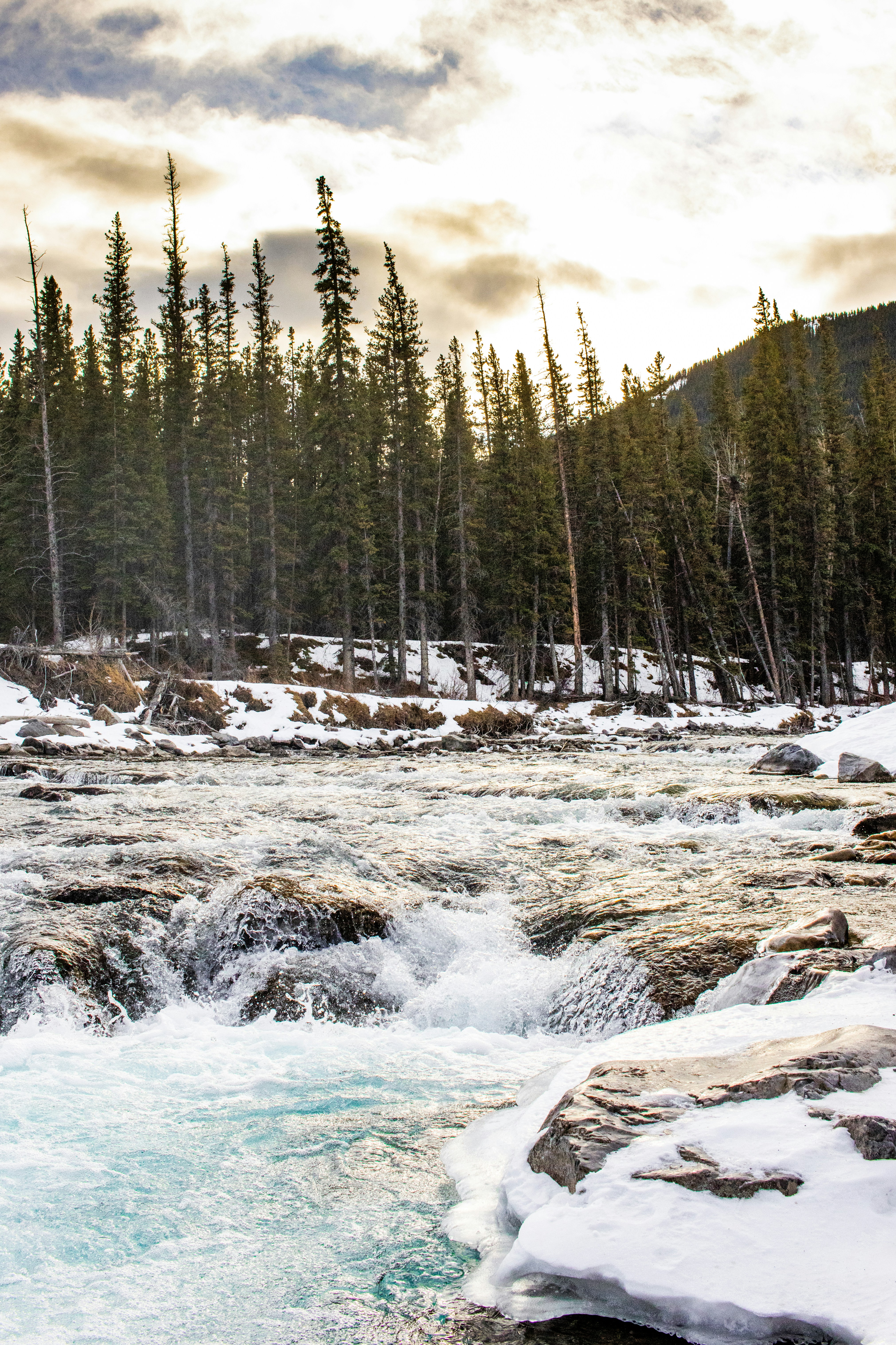 Photo by igor_and_teti