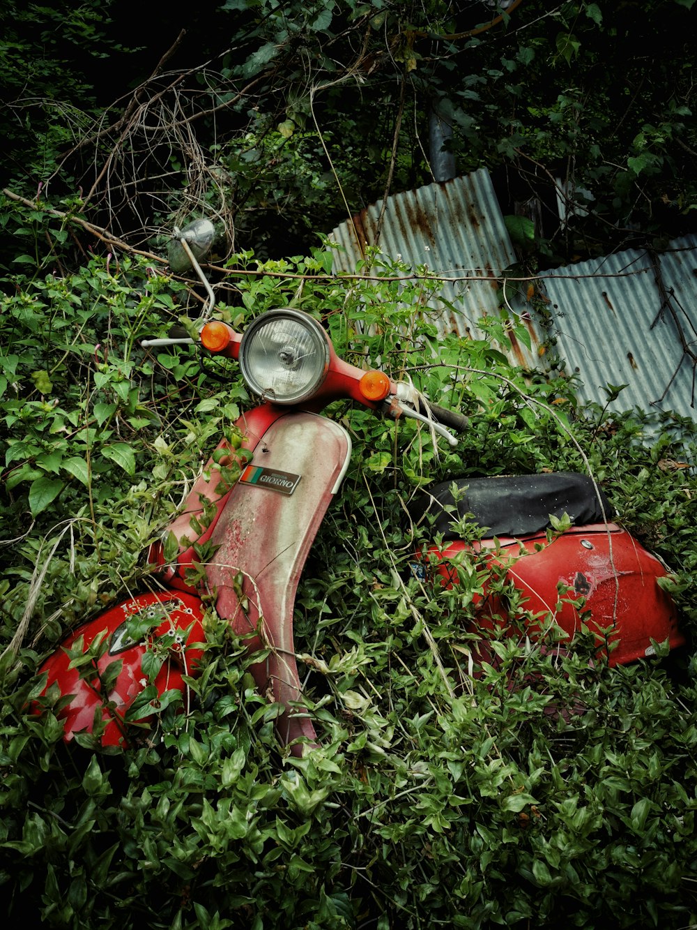 red and black motorcycle parked beside green plants