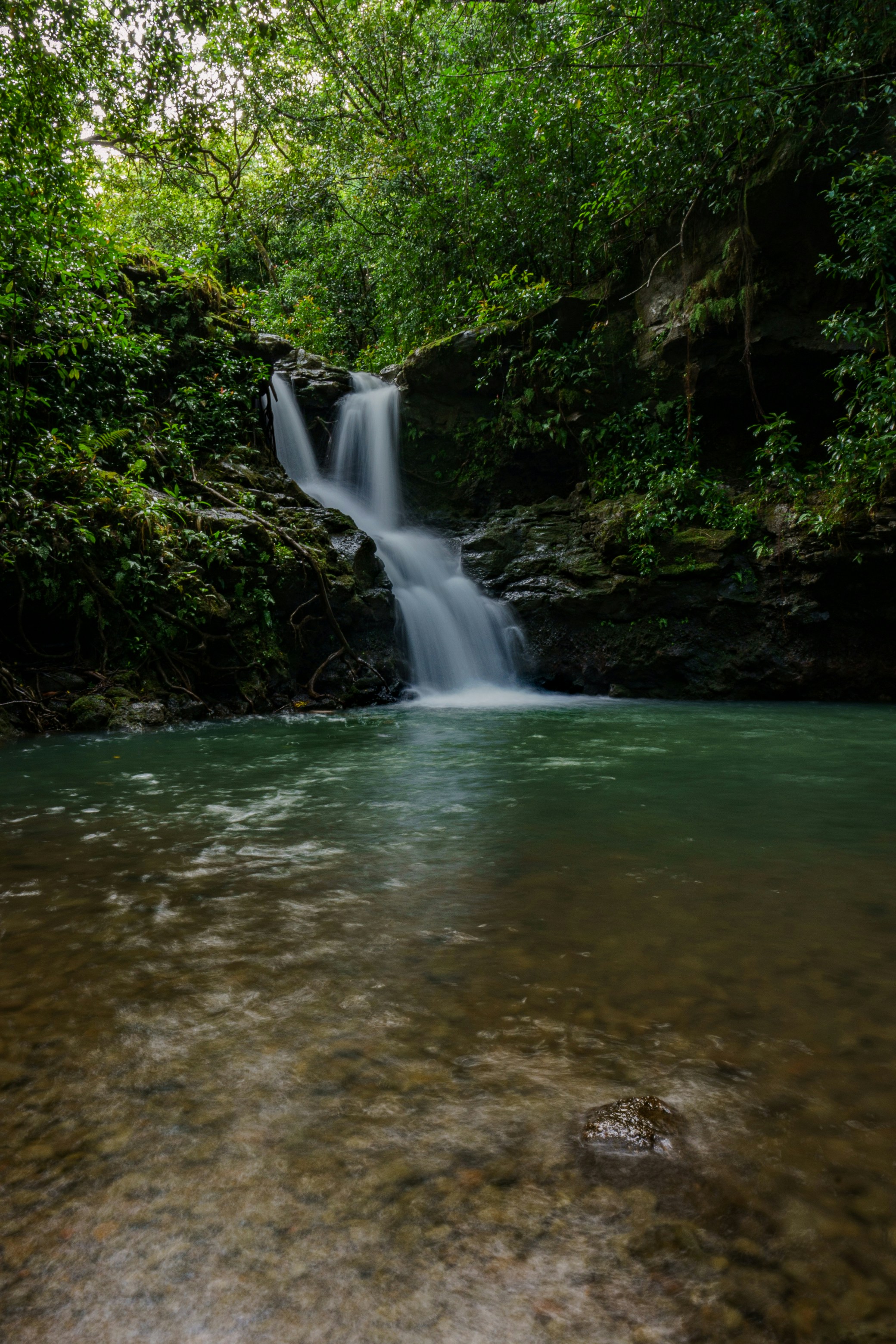 Photo by jess_adventures808