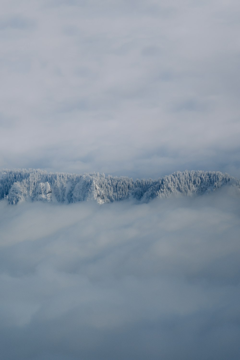 a view of a mountain covered in snow