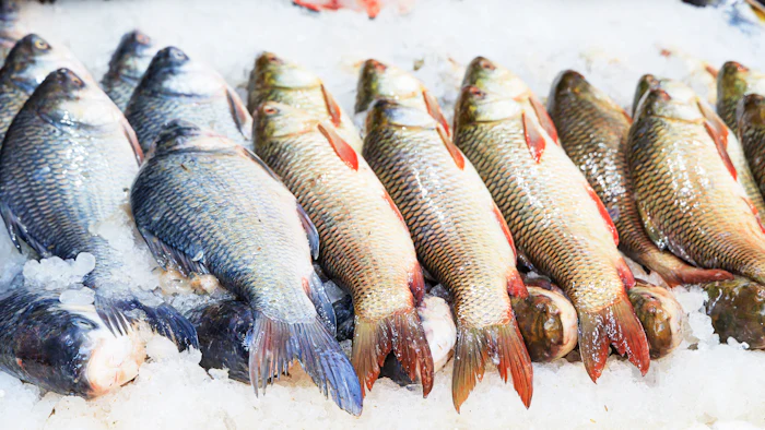 Fish laid out on ice at a market counter.
