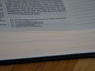 An open journal showing detailed editorial notes and annotations on a research article.