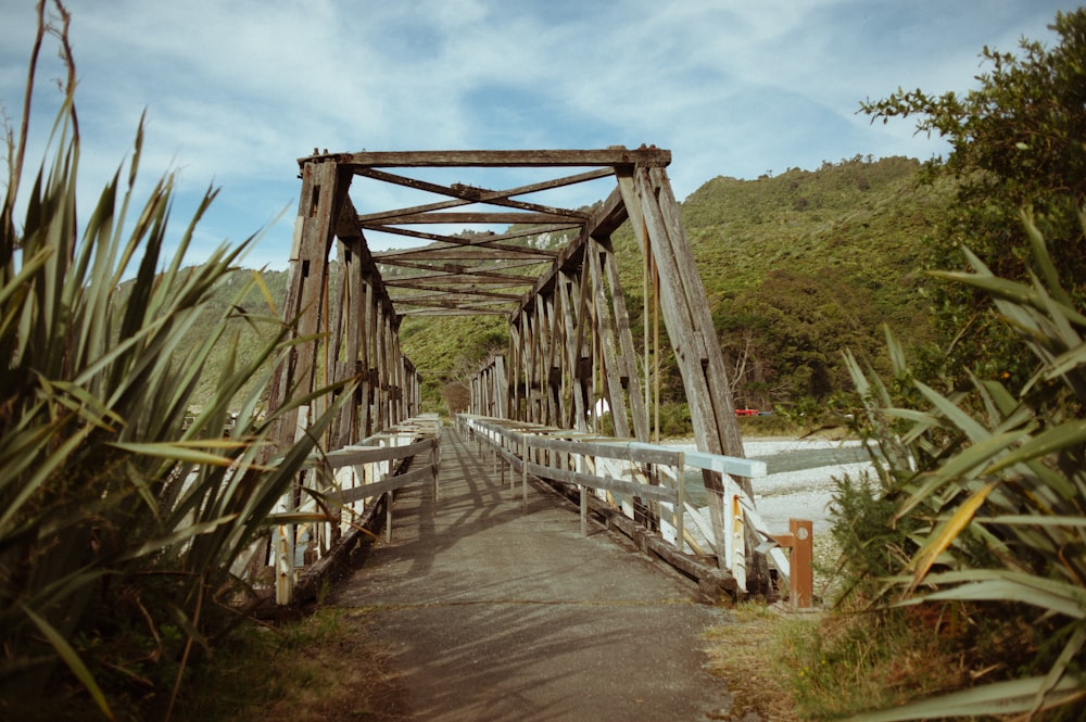 Weiße und braune Brücke über den Fluss