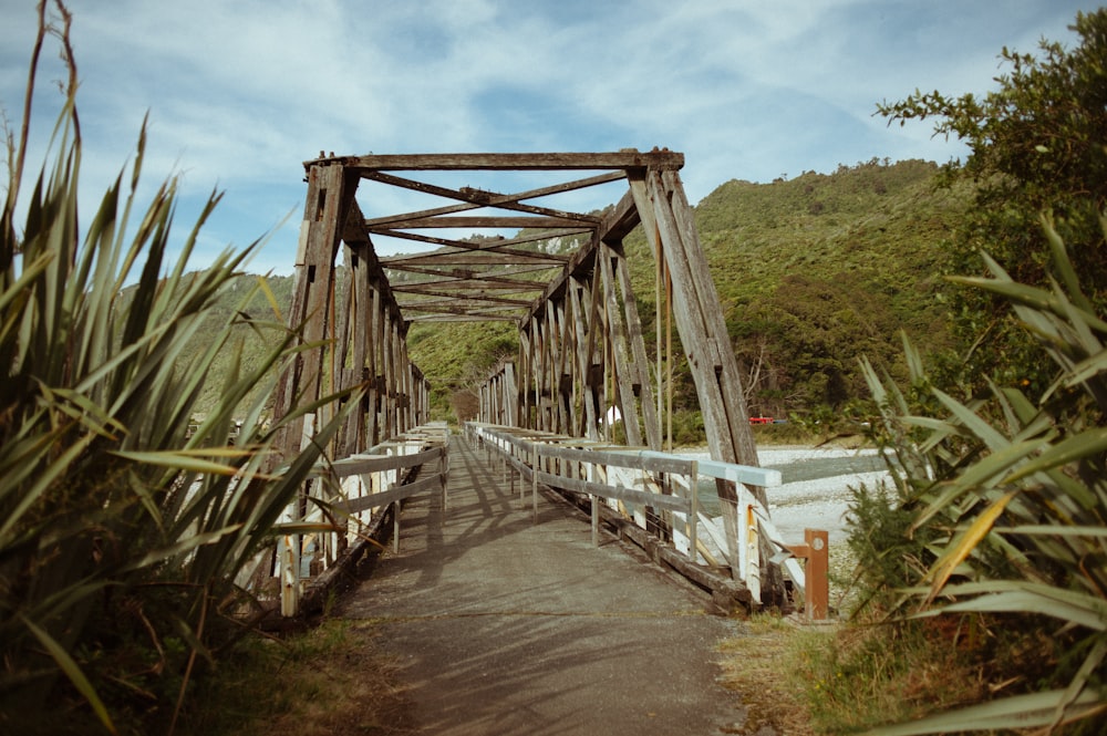 Puente blanco y marrón sobre el río