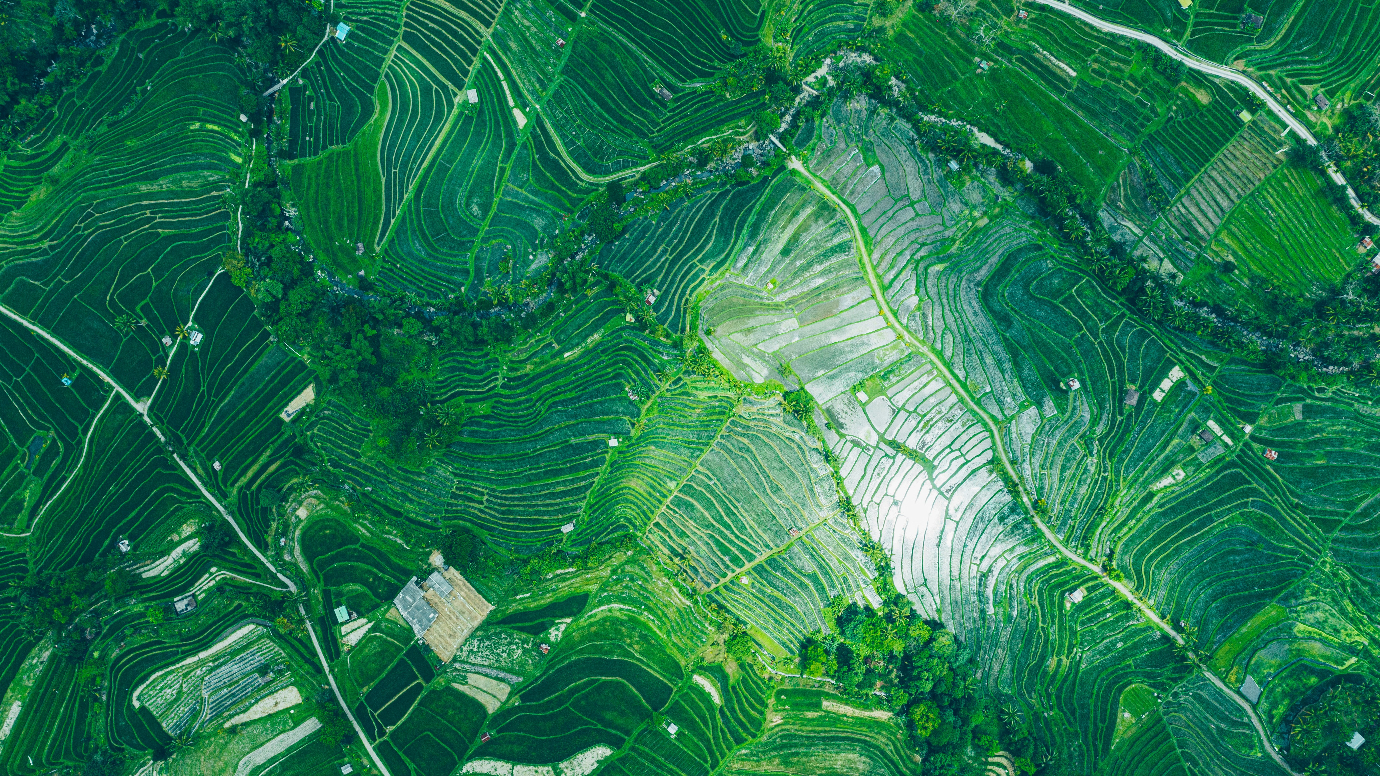 Multi-op env, US China energy differential, Gemini 3, AI crawling, Making time