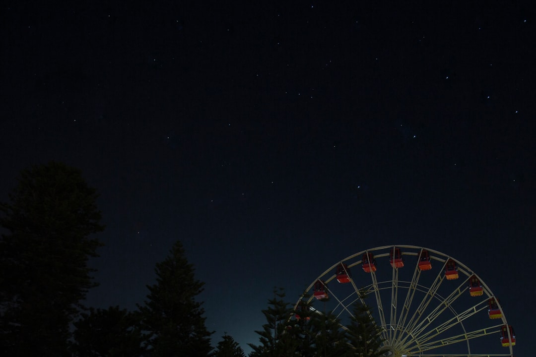 red ferris wheel during night time