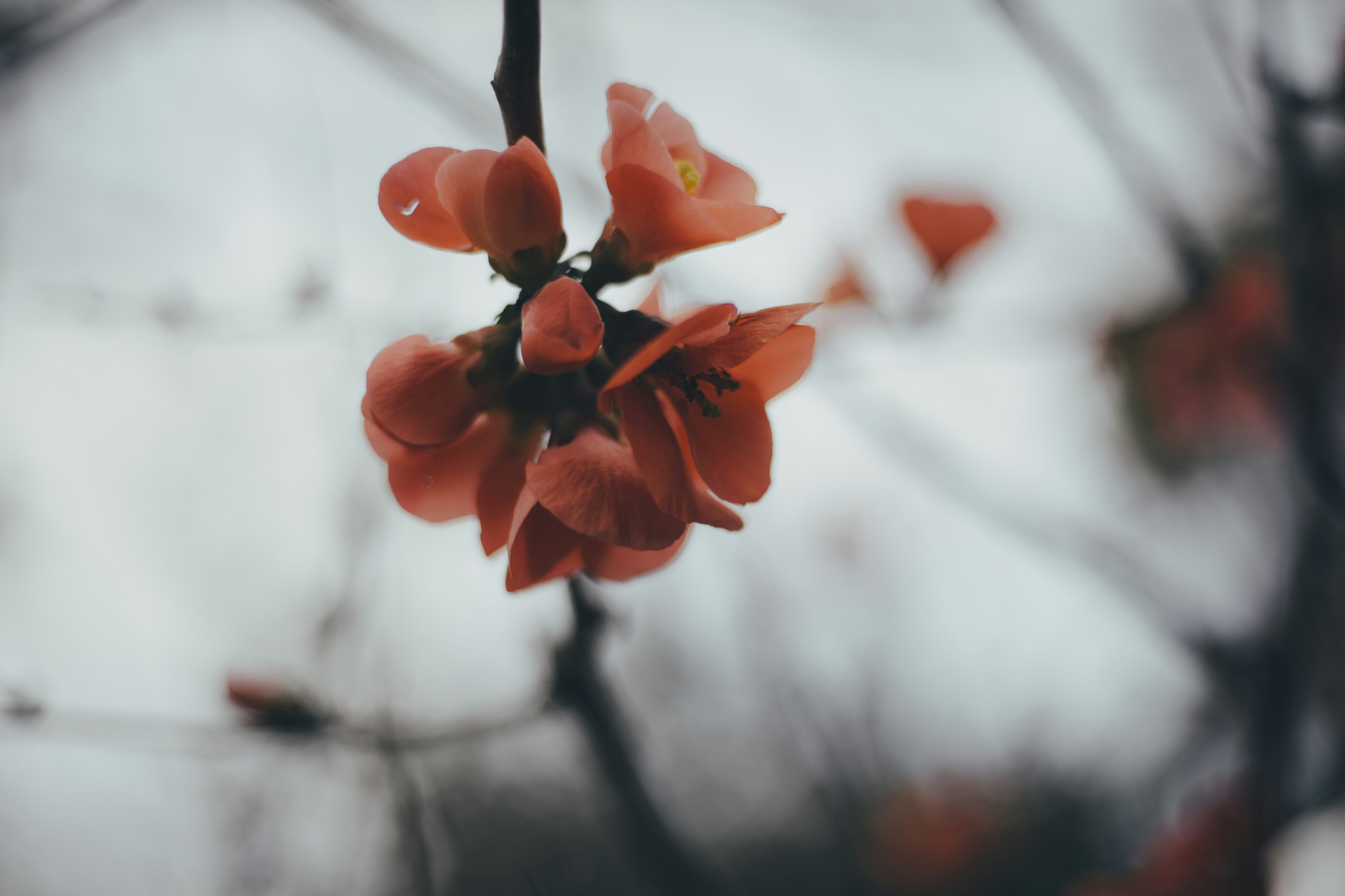 Photo by i_am_simoesse