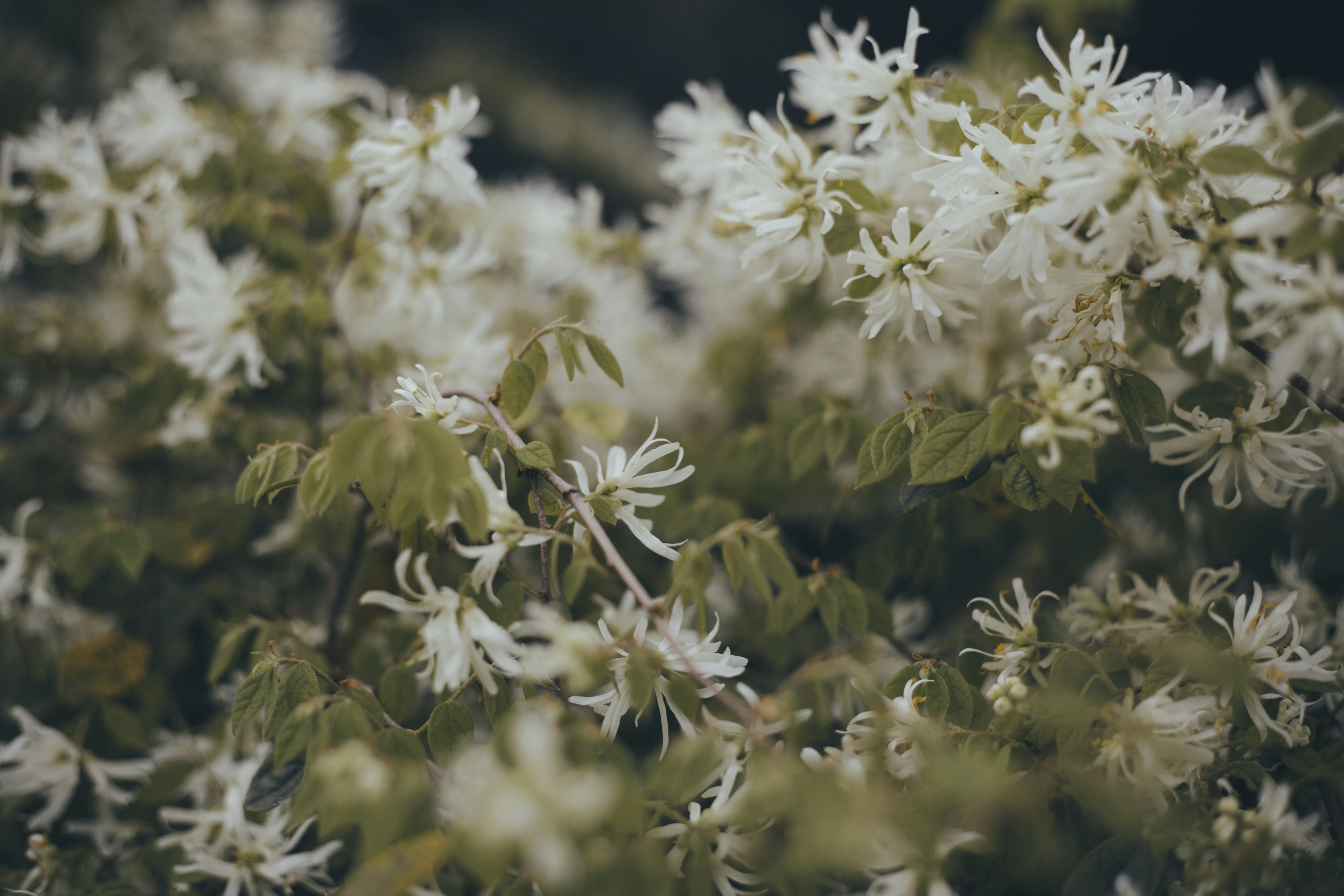 Photo by i_am_simoesse