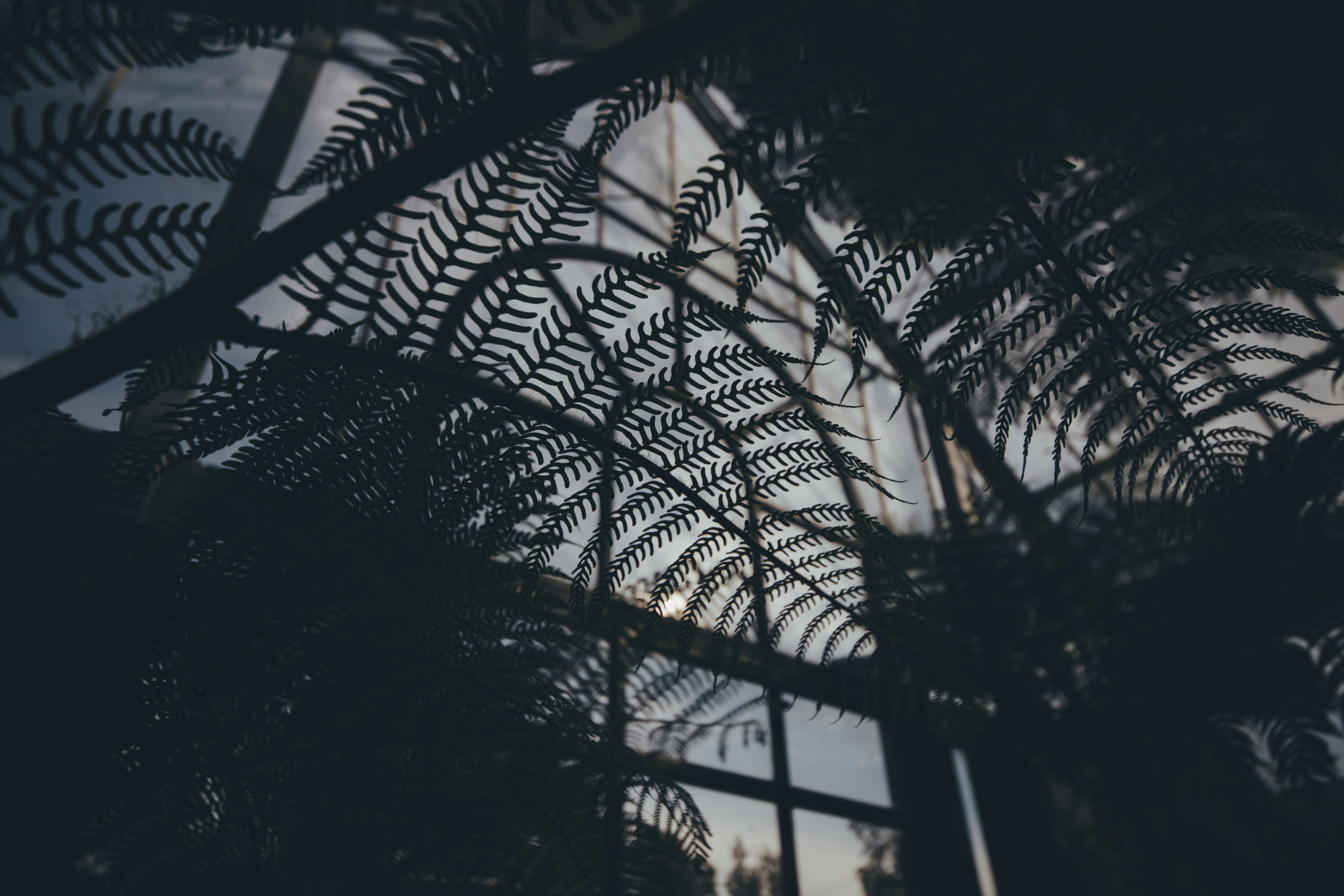 Photo by i_am_simoesse