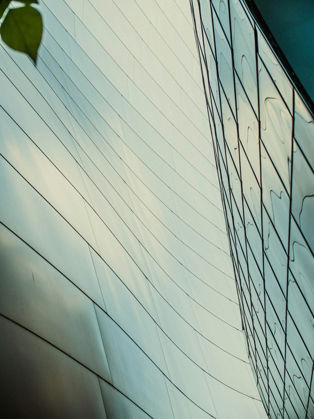 white and blue glass walled building