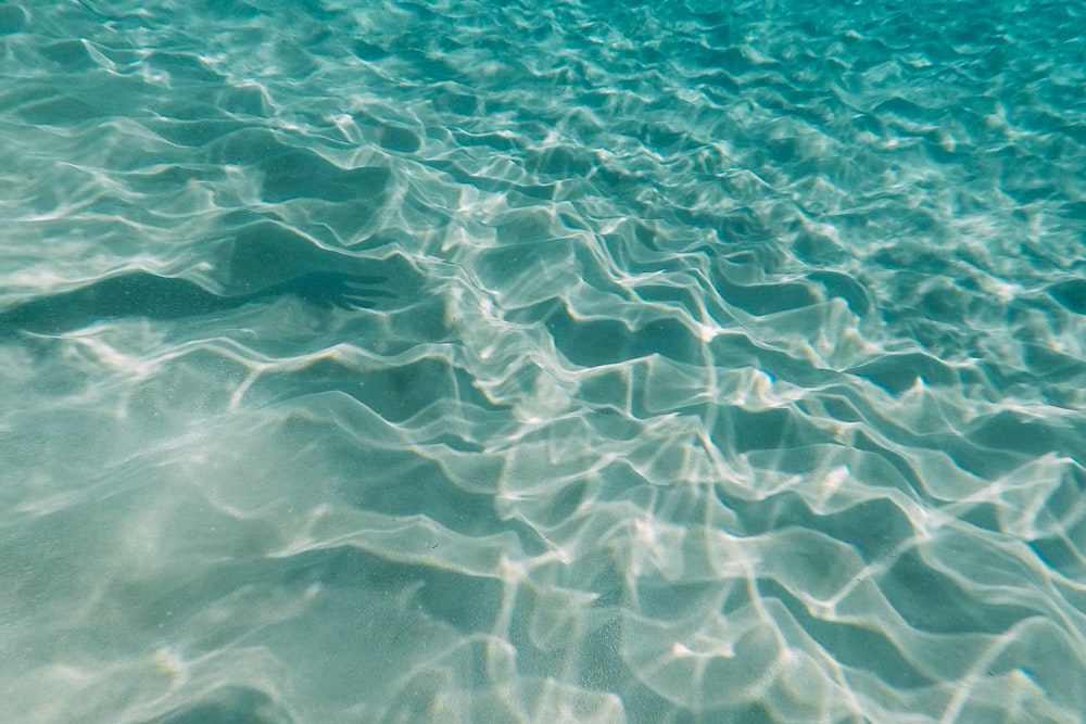 Cuerpo de agua verde durante el día