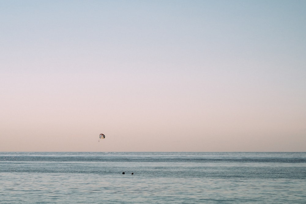 bird flying over the sea during daytime