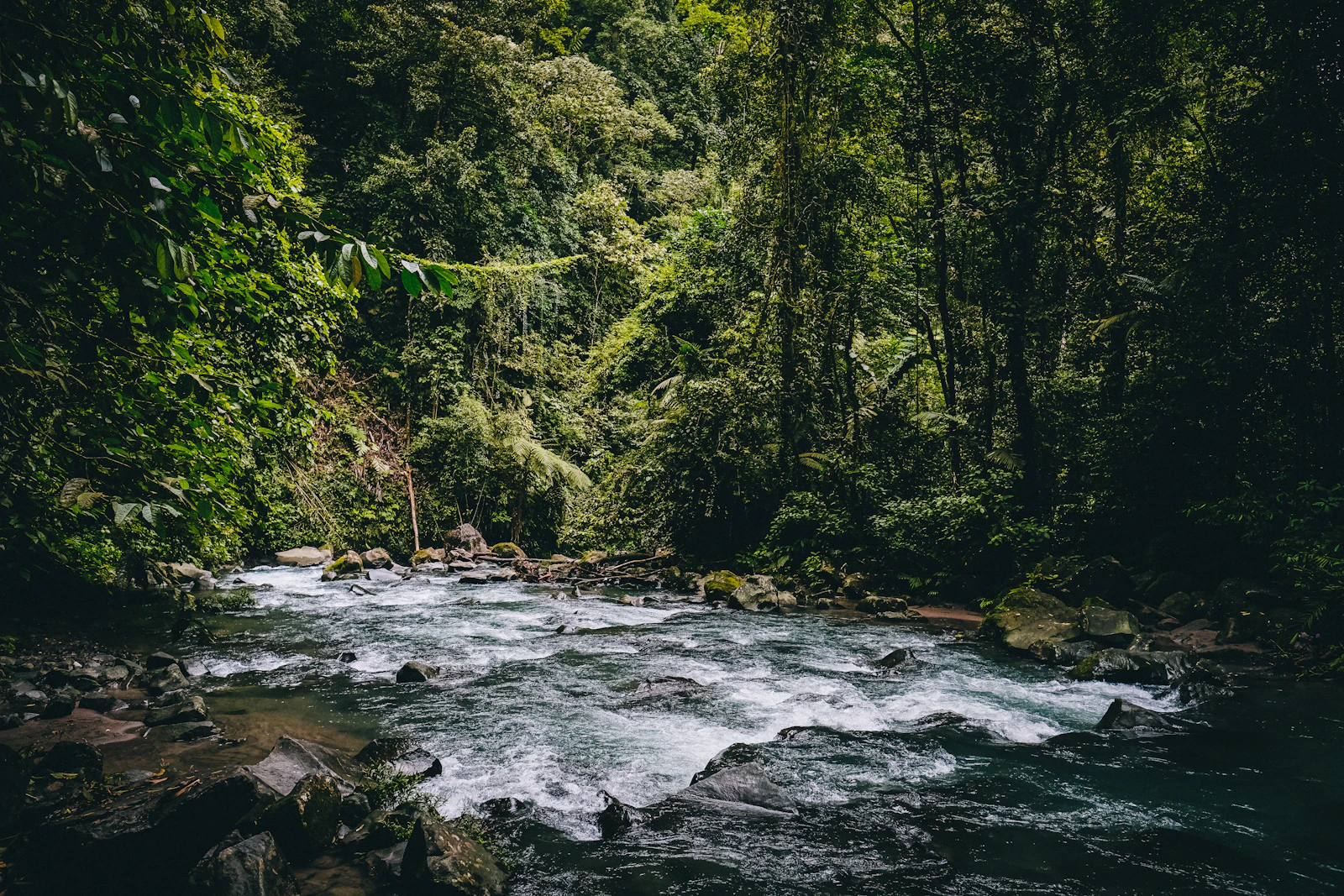 Mahaweli River Kayaking – 3 Days