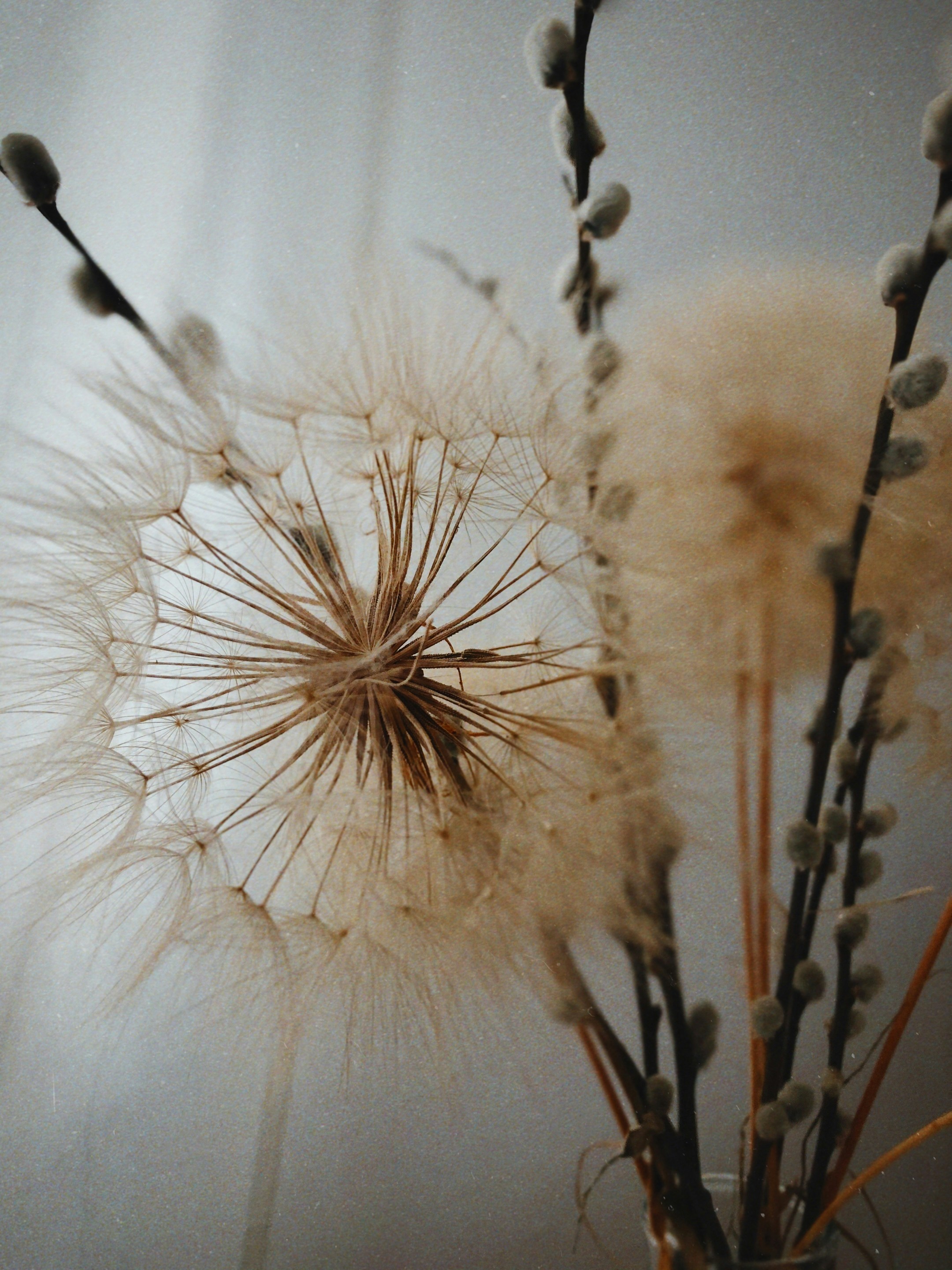 Dry flowers and branches in a vase. Slow living concept. Brown colors aesthetics.