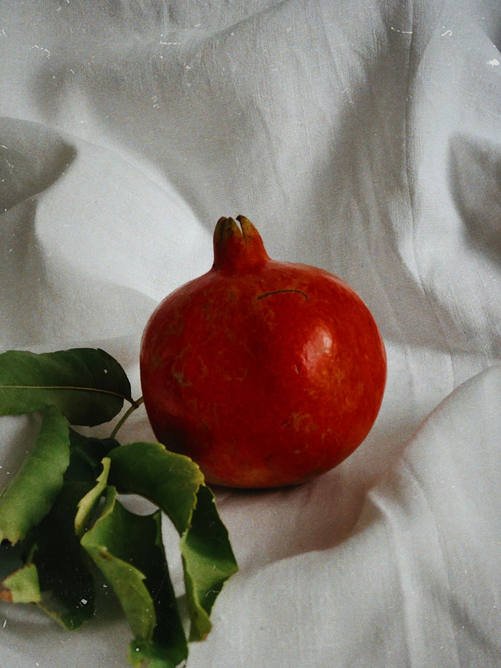 red fruit on white textile