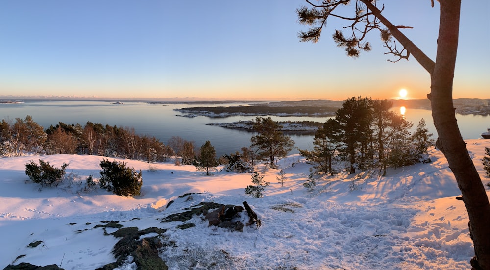 campo innevato durante il giorno