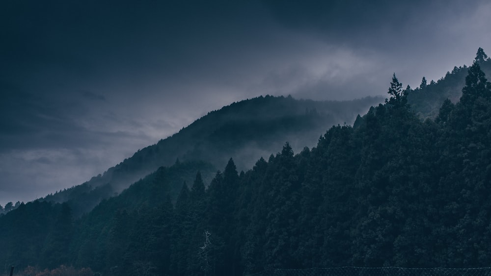 green trees on mountain during daytime